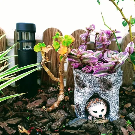 Quarto em Acomodações Particulares Cozy Sintra