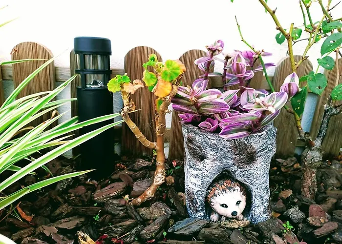 Ubytování v soukromí Cozy Sintra